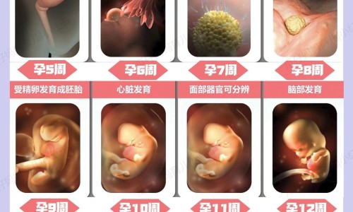 芩暴红最长能吃几天-芩暴红为何要尽量少吃,中国西药芩暴红的副作用网站