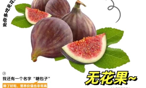 芩暴红为何要尽量少吃-芩暴红最长能吃几天-芩暴红为何要尽量少吃,中国西药芩暴红的副作用网站